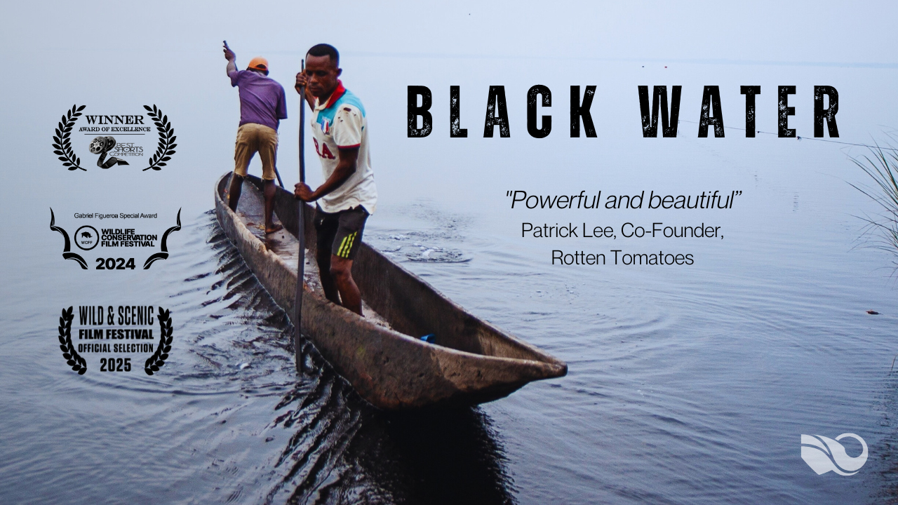 Black Water short documentary film poster with award laurels
