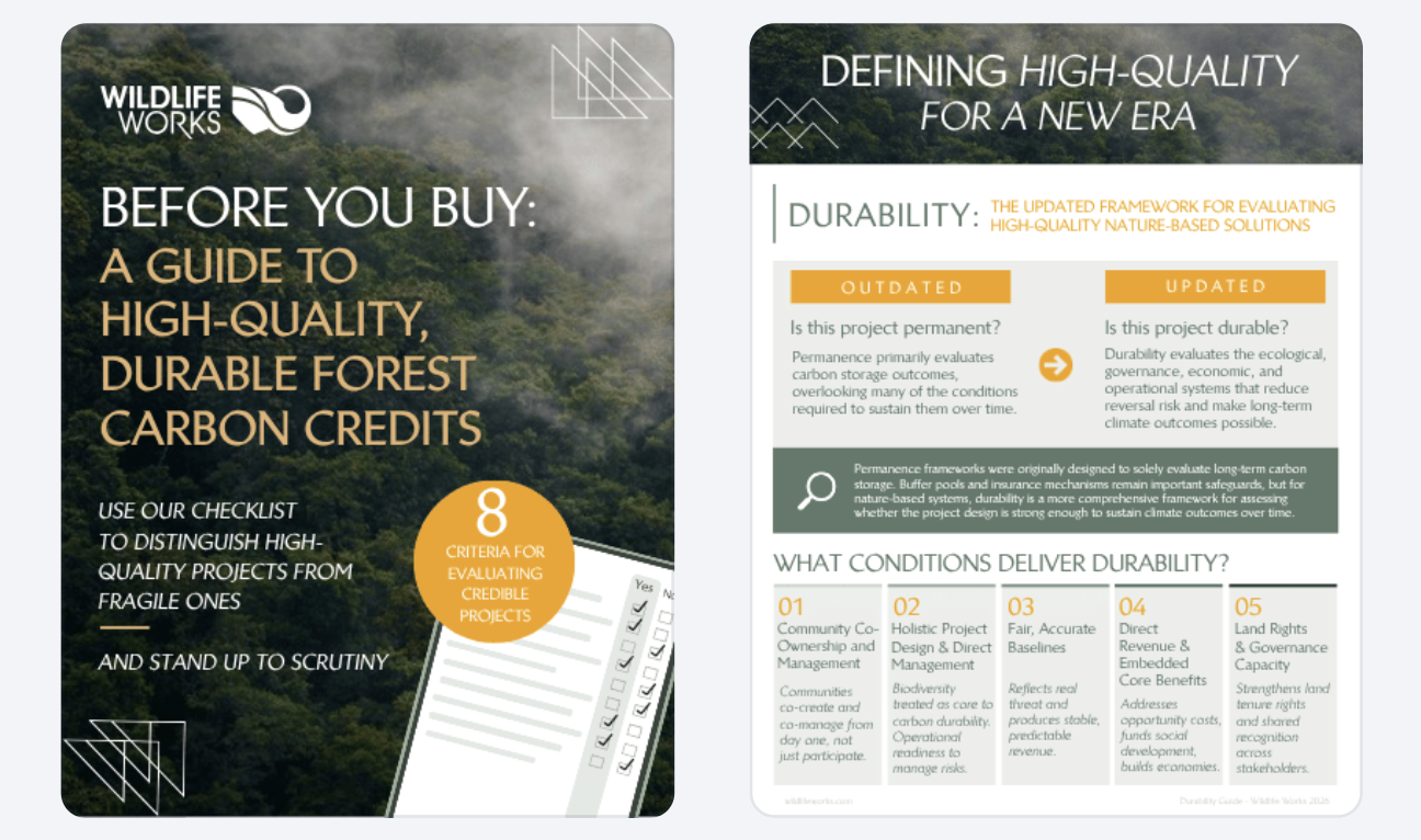 Before You Buy — forest carbon buyer's checklist cover