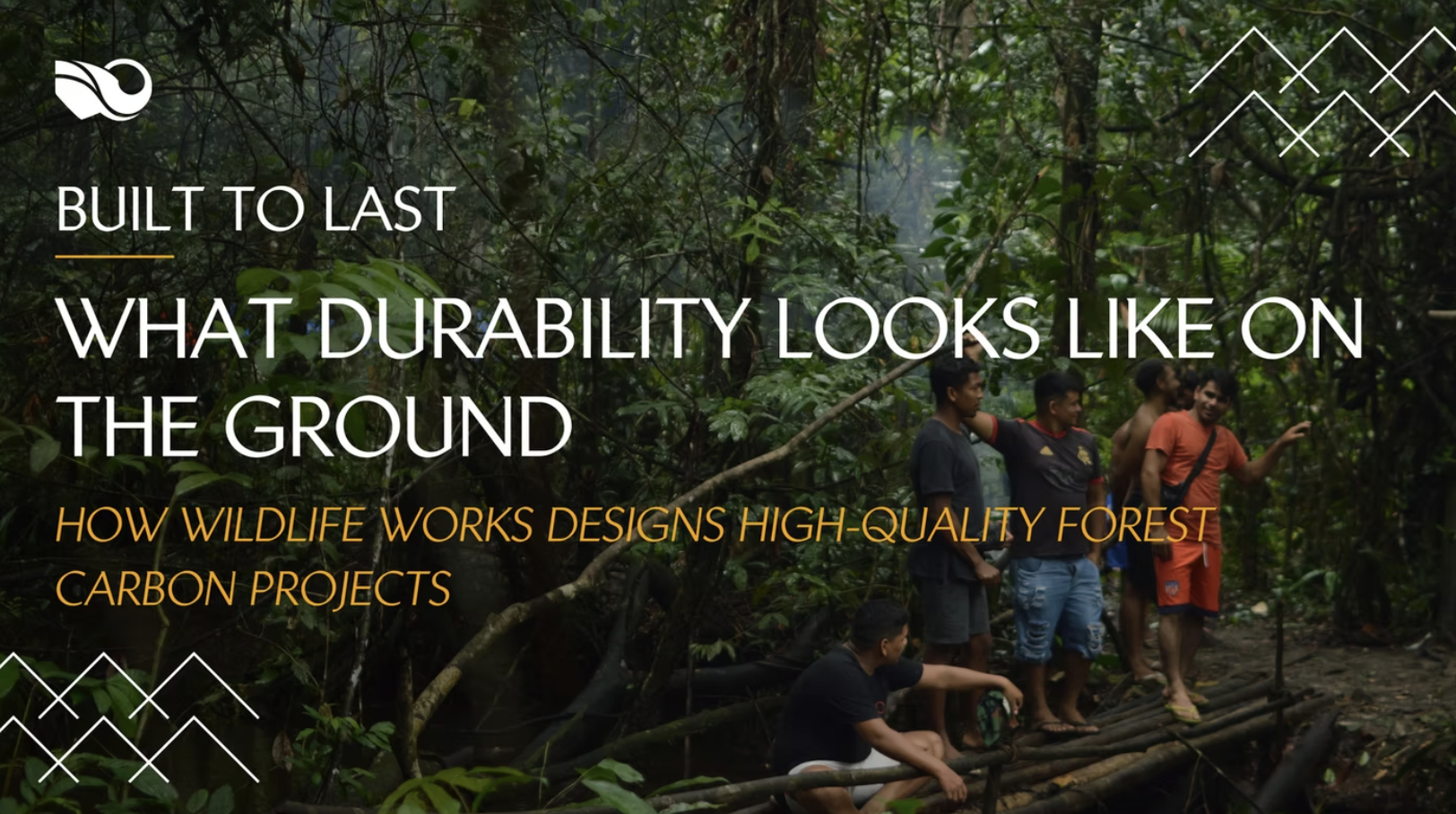 Biodiversity explainer cover