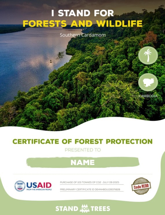 Stand For Trees personalized certificate of forest protection